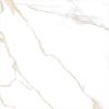 Picture of Calacatta Gold Polished Marble Look Tile 60x60 cm