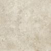 Picture of Colosseo Ivory Matt Tile 61x61 cm