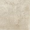 Picture of Colosseo Ivory Matt Tile 61x61 cm