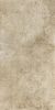 Picture of Colosseo Beige Matt Décor Tile 61x122.2 cm