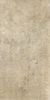 Picture of Colosseo Beige Matt Décor Tile 61x122.2 cm